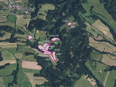 Prodej louky 100708 m²