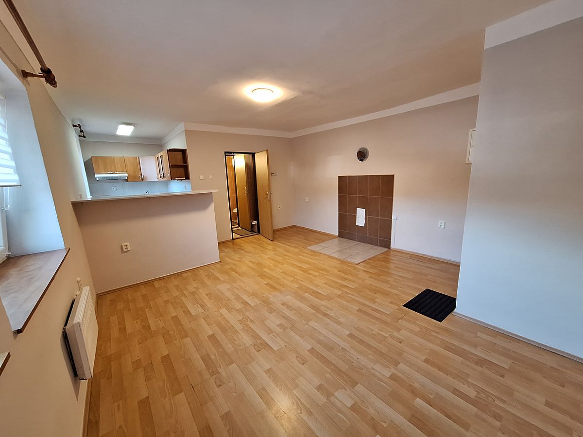 Pronájem bytu 1+kk 25 m² – fotografie 4