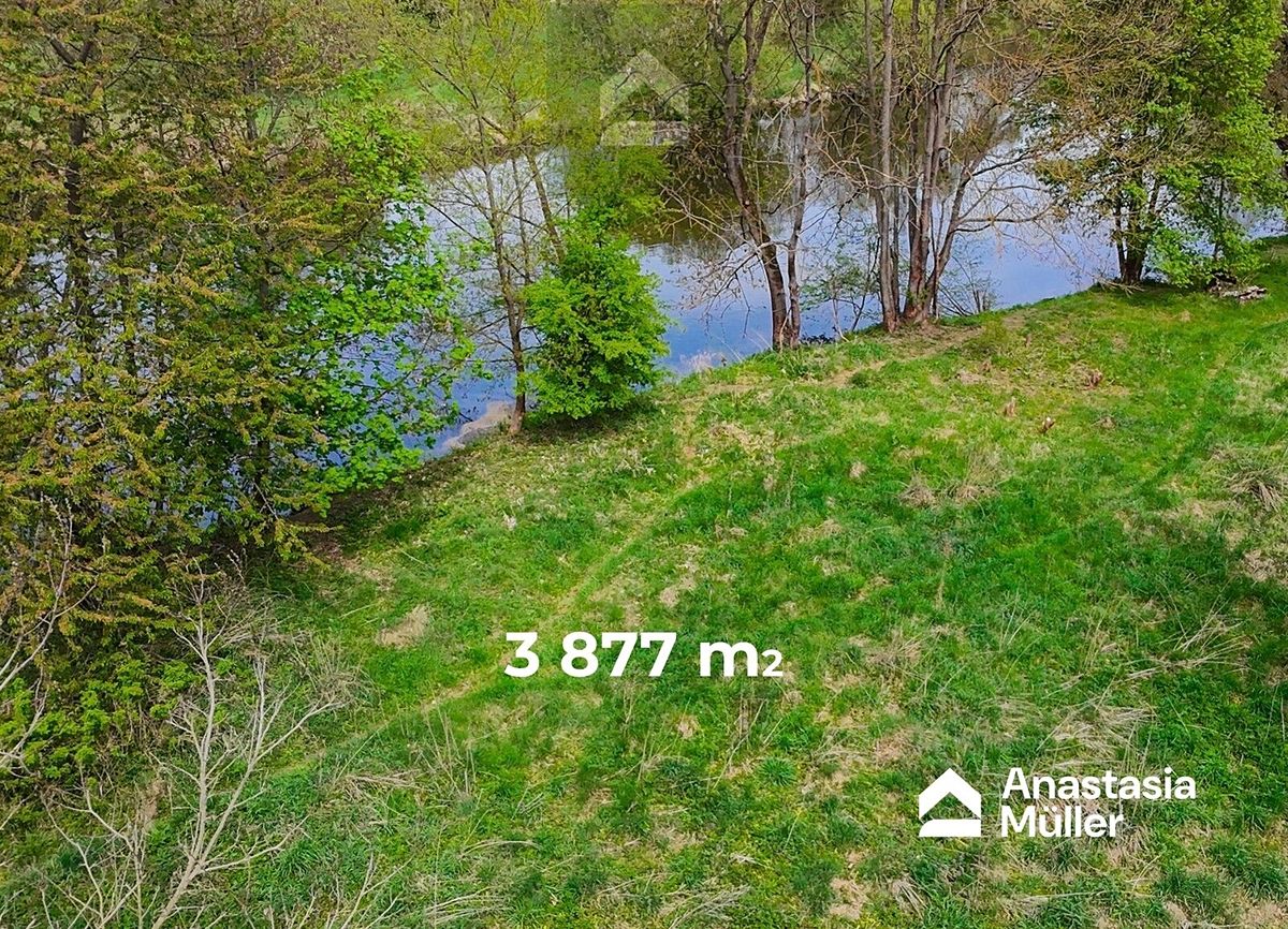Pronájem pozemku 3877 m² – fotografie 4