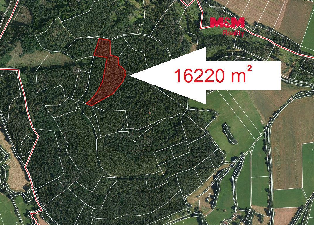 Prodej lesa 16220 m²