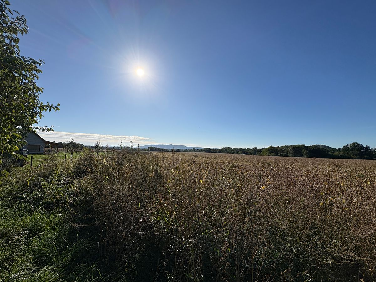 Prodej stavebního pozemku 5680 m² – fotografie 5