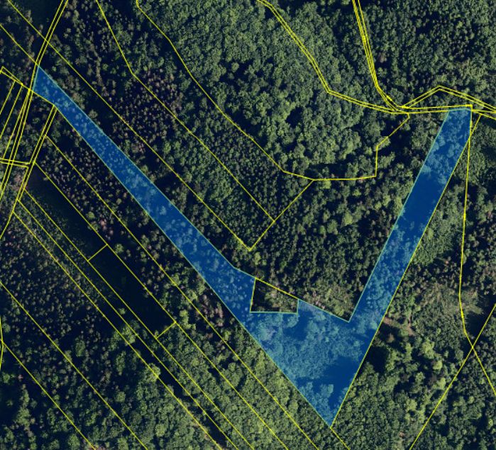 Prodej lesa 30783 m²
