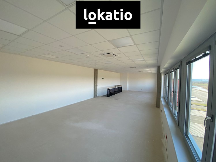 Ostatní