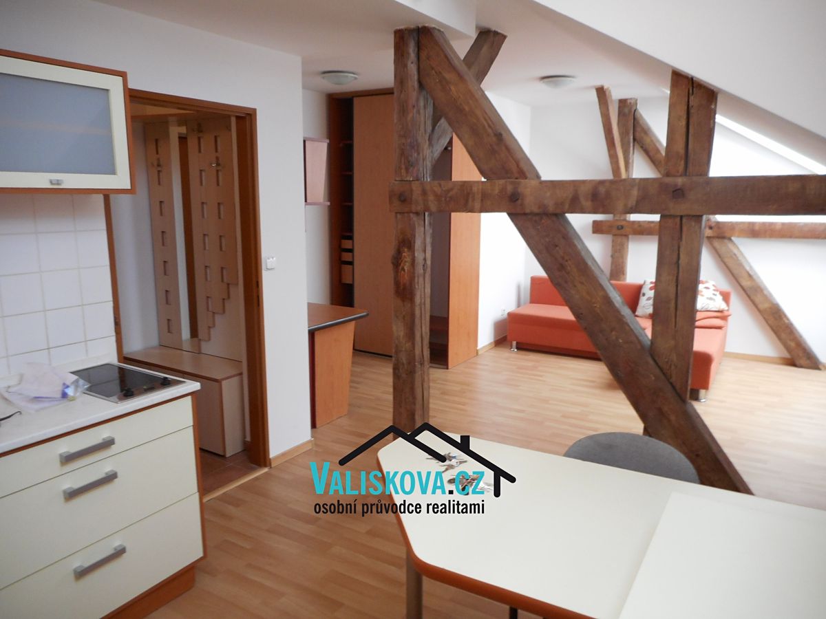 Pronájem bytu 1+kk 42 m²