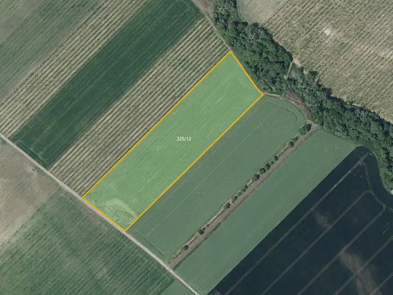 Prodej pole 21043 m², Želkovice – náhled fotky 1