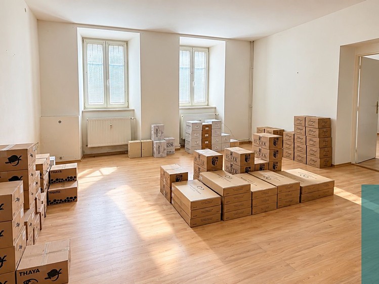 Prodej domu, 675 m² (29 z 92)