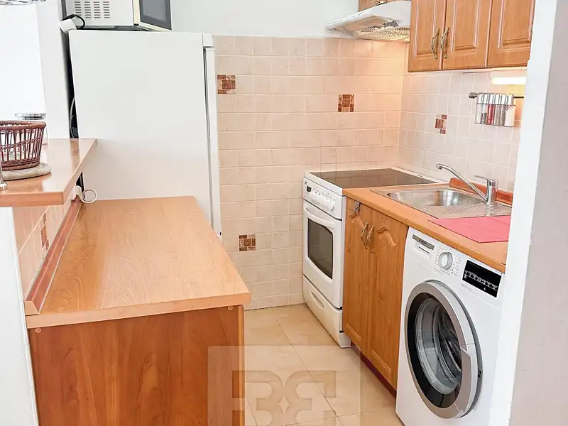Pronájem bytu 1+kk 24 m², Praha – náhled fotky 2