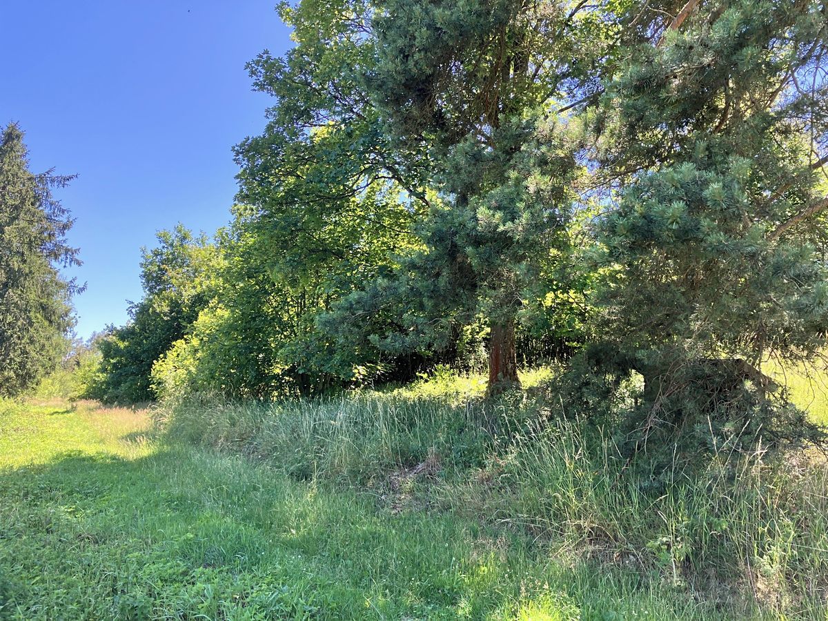 Prodej stavebního pozemku 326 m² – fotografie 5