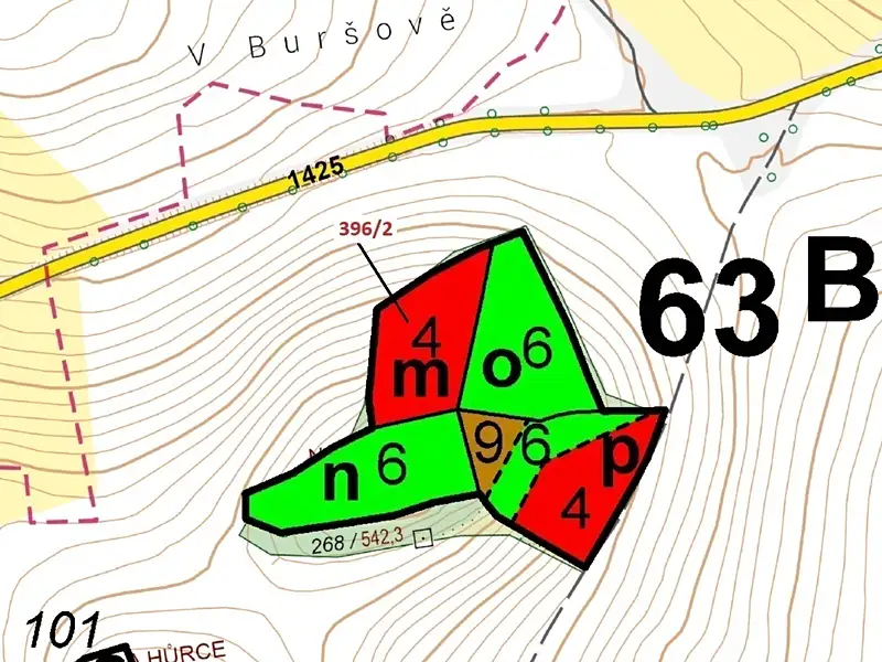Dražba lesa 3340 m², Kuřimany – náhled fotky 3