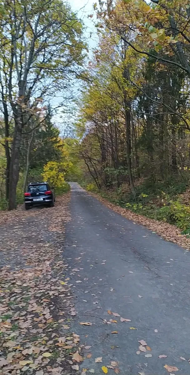 Fotka 15 z 15