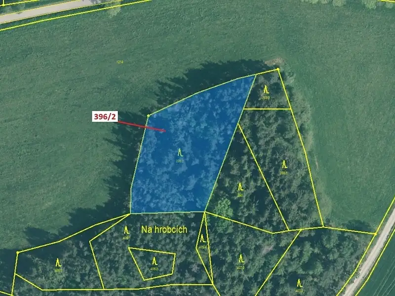 Dražba lesa 3340 m², Kuřimany – náhled fotky 2