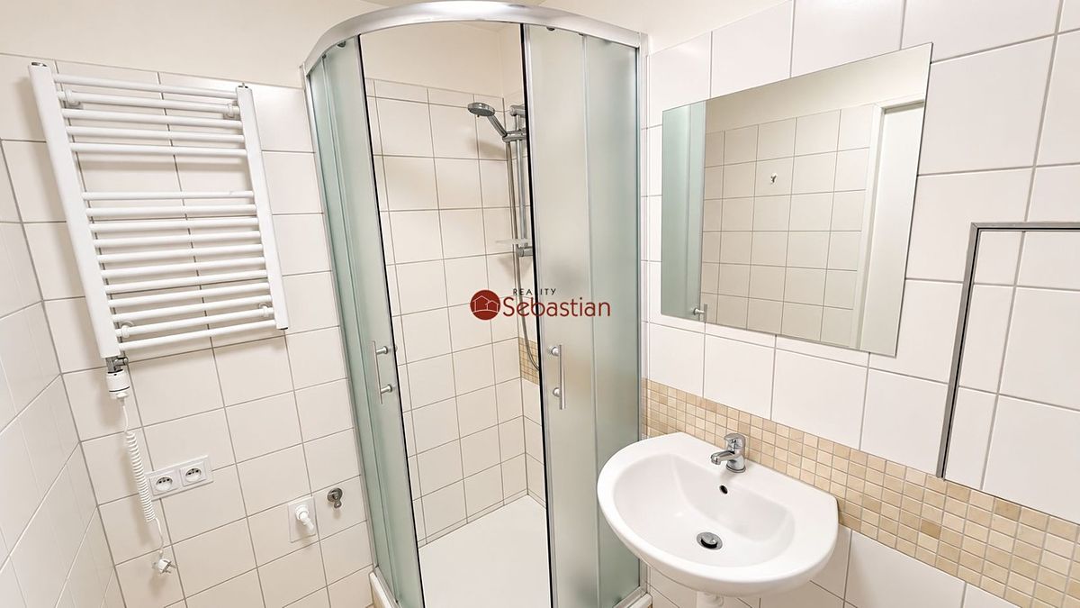 Pronájem bytu 1+1 41 m² – fotografie 5