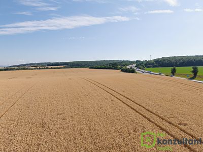 Prodej pole 31487 m²