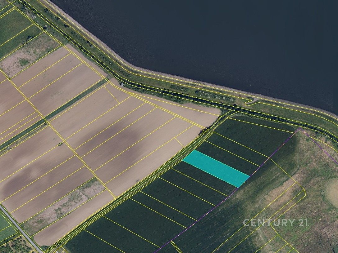 Prodej pole 9682 m² – fotografie 2