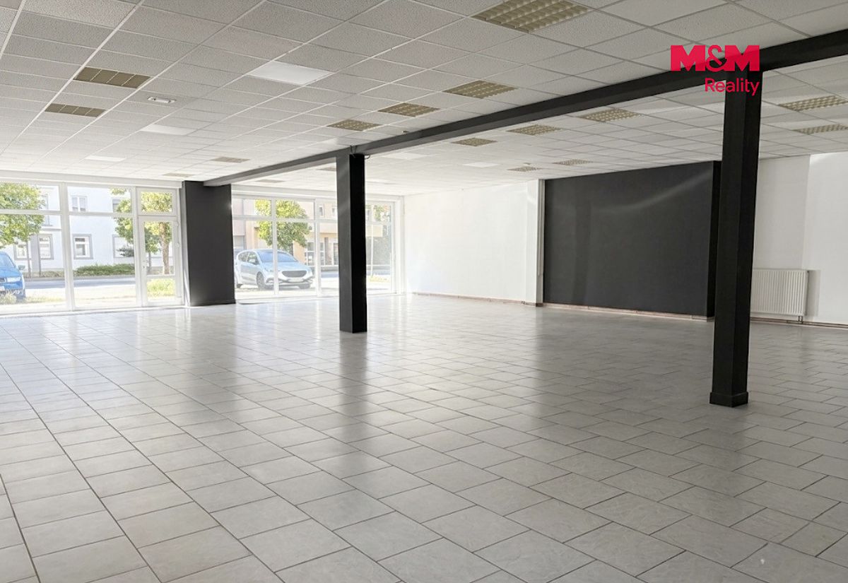 Pronájem obchodního prostoru 220 m² – fotografie 3