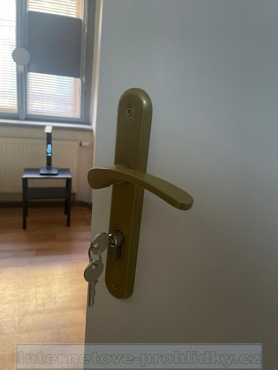Pronájem bytu pokoje 16 m² – fotografie 5