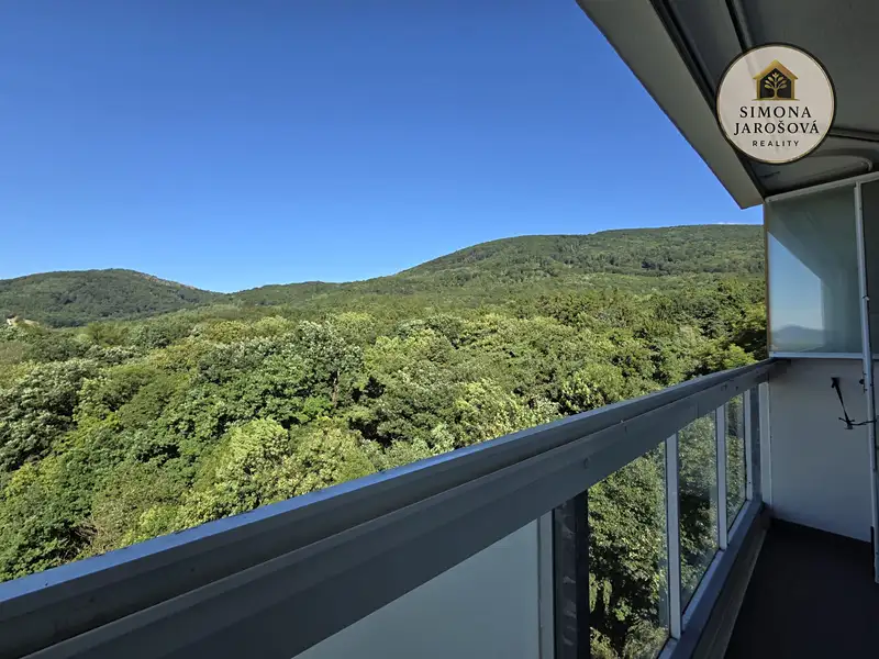 Prodej bytu 2+1 56 m², Osek – náhled fotky 2