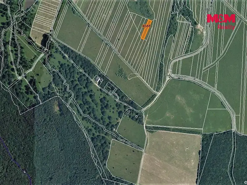 Prodej louky 735 m², Korytná – náhled fotky 3