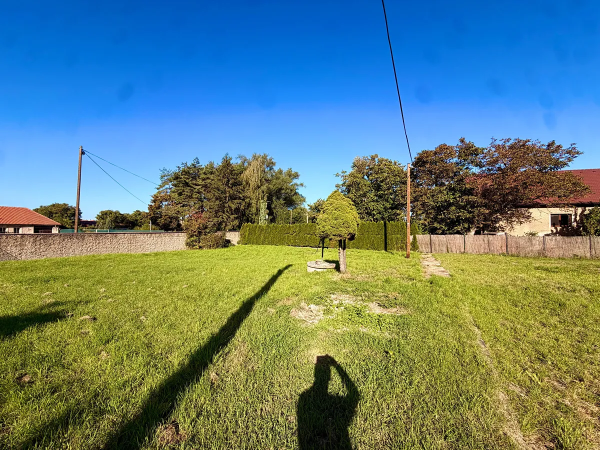 Fotka 5 z 12