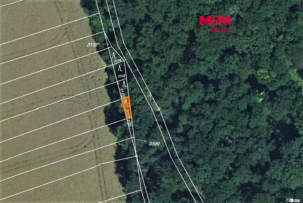 Prodej lesa 25 m², Zborovice – fotka 1 z 3