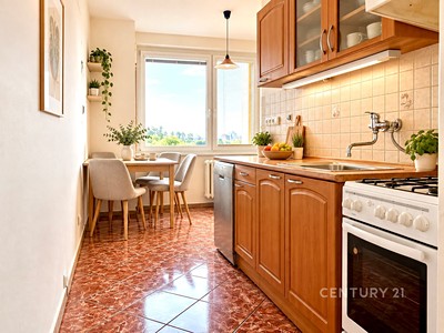 Pronájem bytu 2+1 62 m²