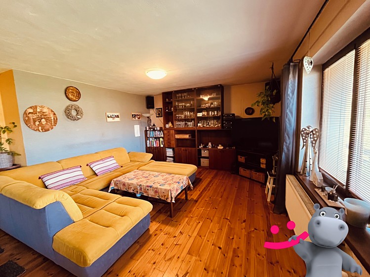 Prodej domu, 446 m² (6 z 29)