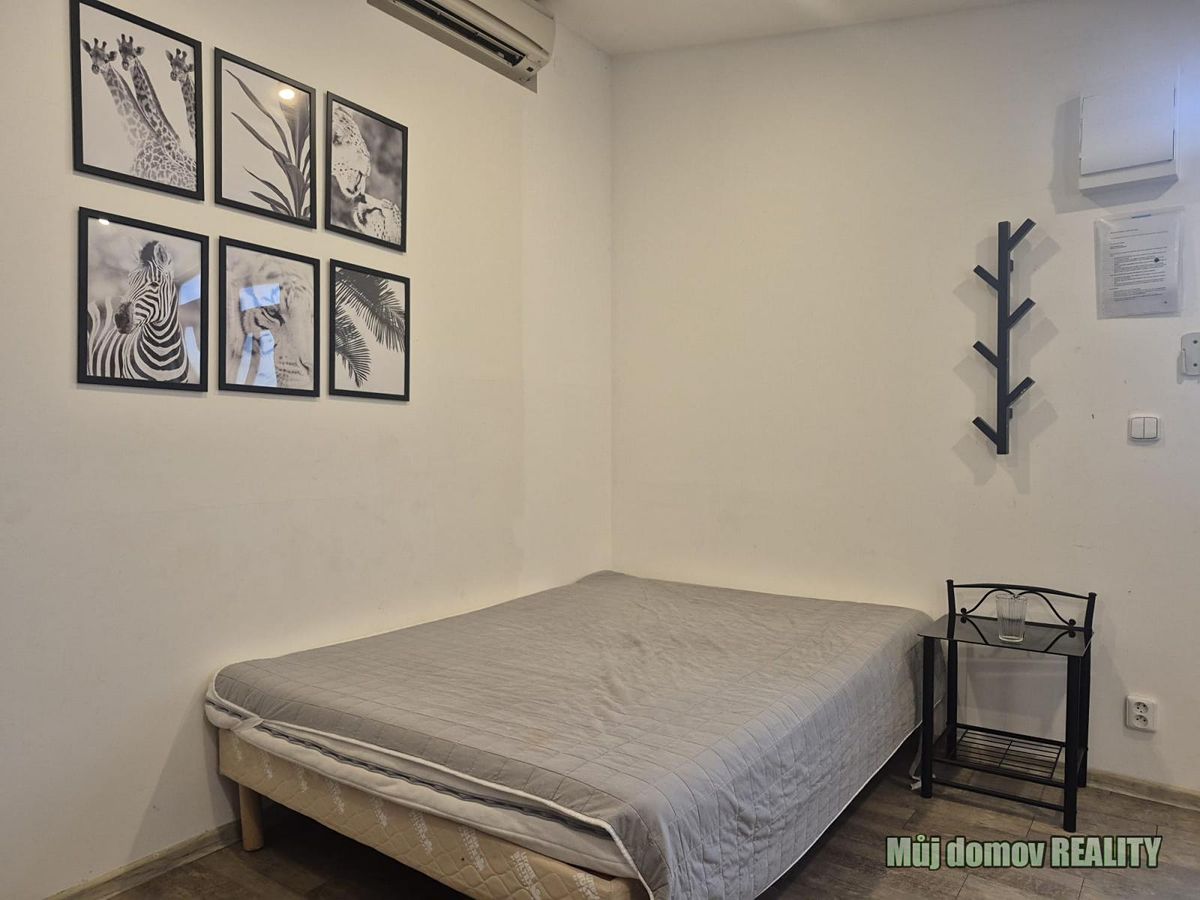 Pronájem bytu 1+kk 15 m² – fotografie 2