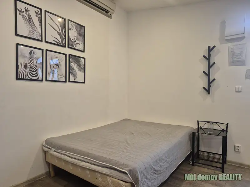 Pronájem bytu 1+kk 15 m², Praha – náhled fotky 2