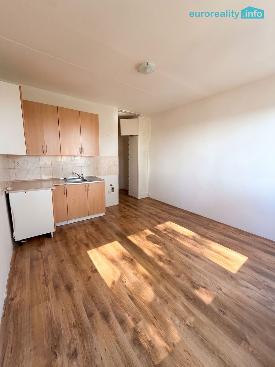 Pronájem bytu 1+kk 20 m²