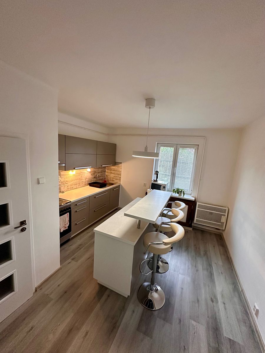 Pronájem bytu 2+1 51 m² – fotografie 4