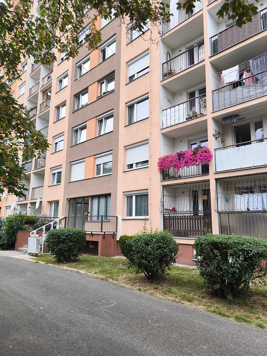 Pronájem bytu 3+1 65 m²