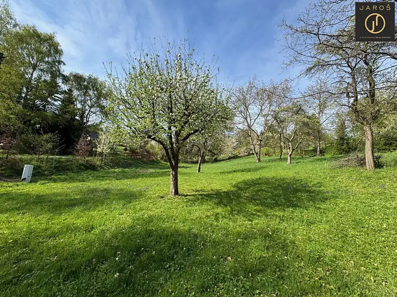 Prodej stavebního pozemku 3412 m², Žandov – náhled fotky 1