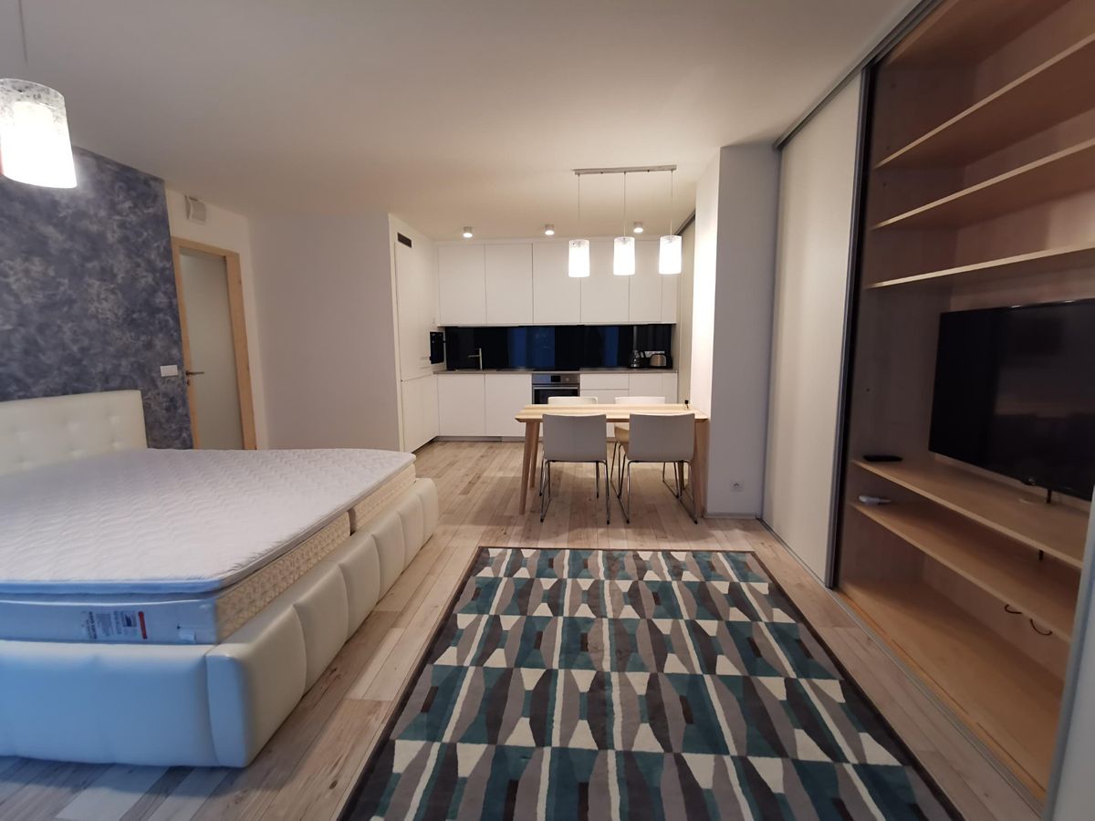 Pronájem bytu 1+kk 50 m² – fotografie 4