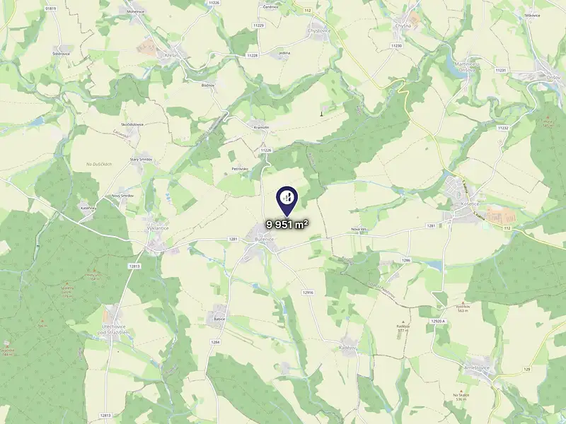 Prodej pole 9951 m², Buřenice – náhled fotky 3