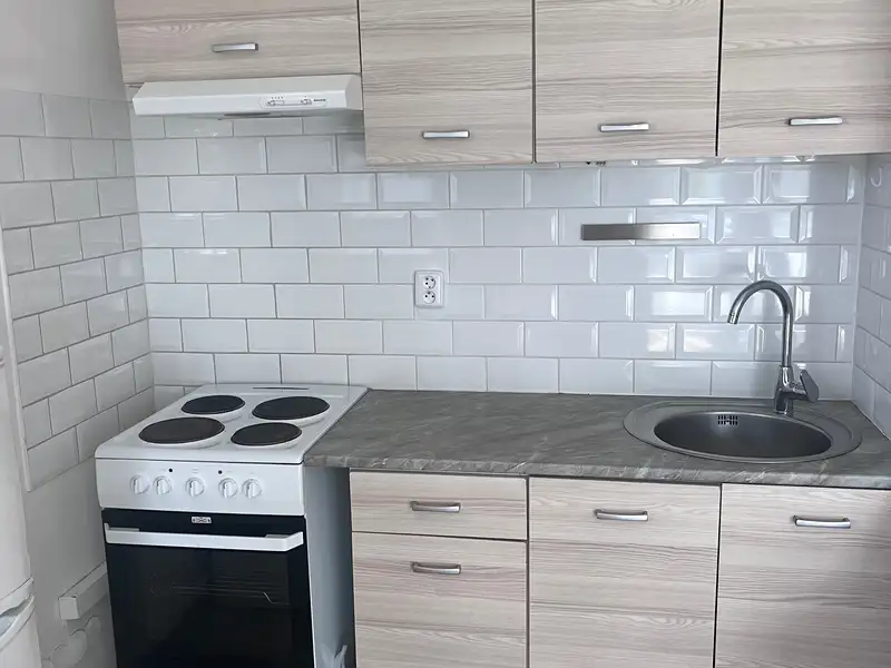Pronájem bytu 1+kk 38 m², Praha – náhled fotky 3