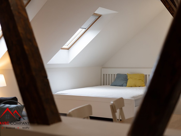 Pronájem bytu 1+kk, 38 m² (7 z 15)