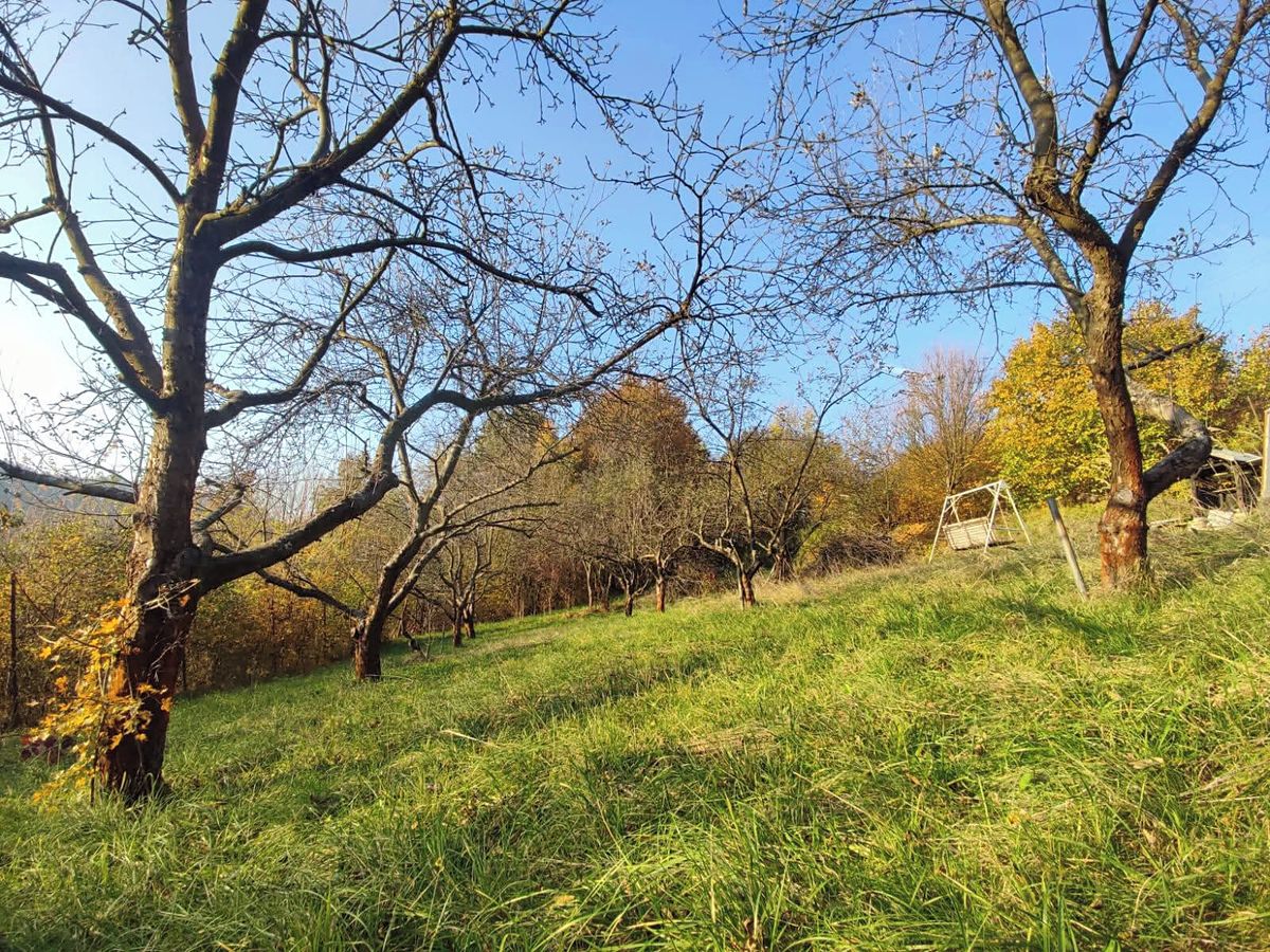 Pronájem rodinného domu 55 m², pozemek 2700 m² – fotografie 5