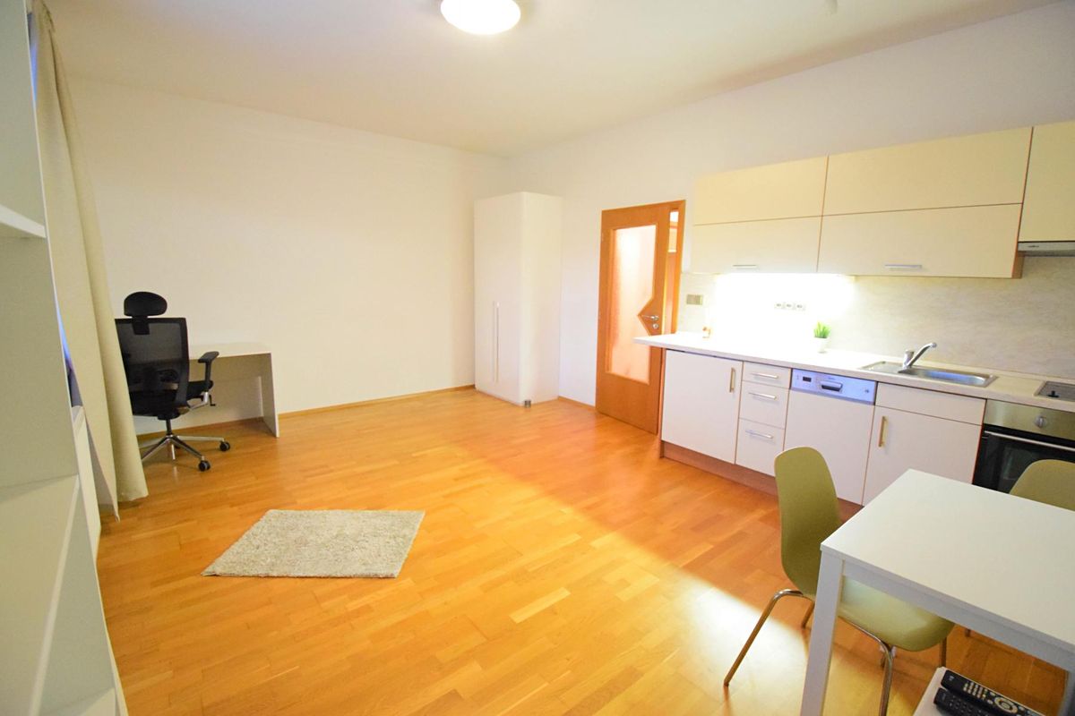 Pronájem bytu 1+kk 36 m² – fotografie 5