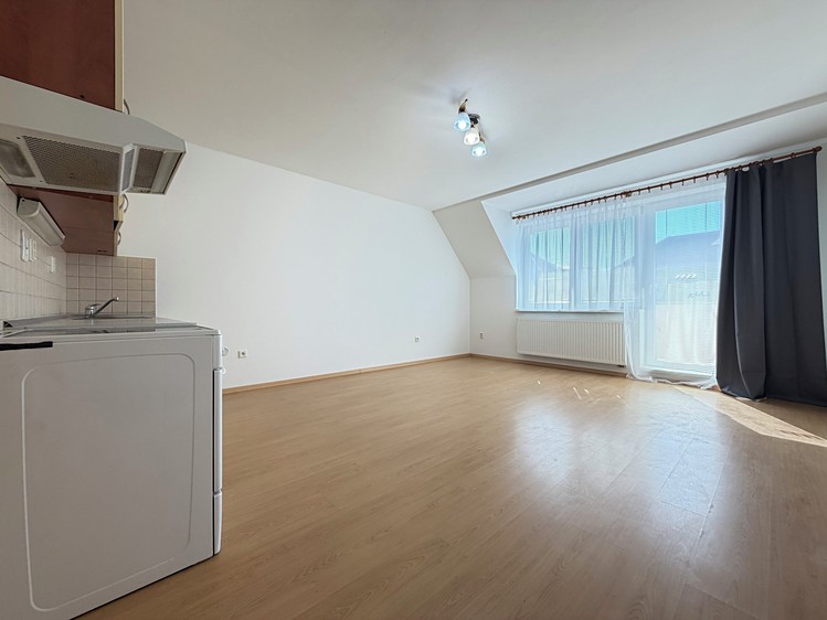 Wohnung 1+kk zur Miete, 32 m² (8 von 19)