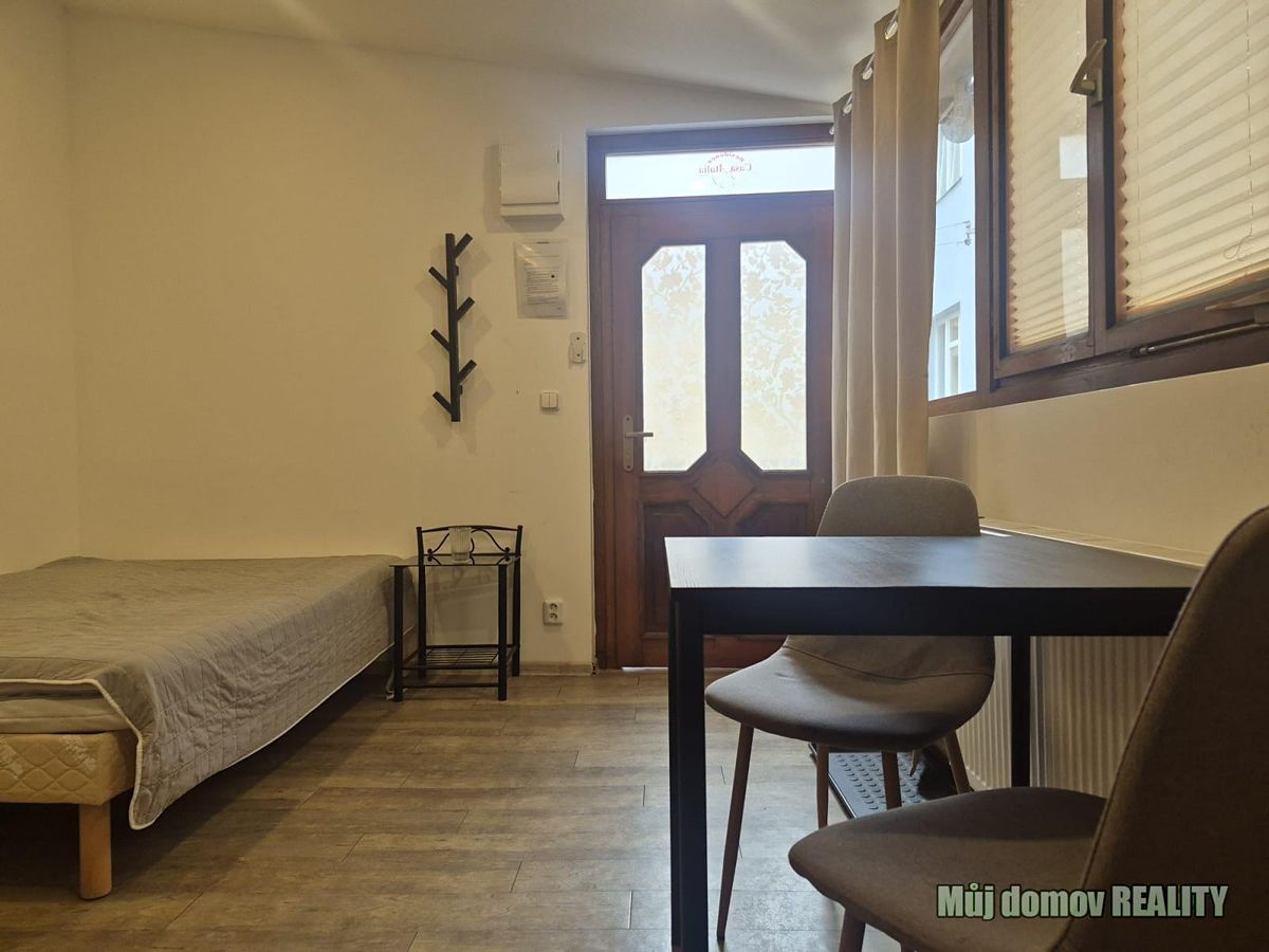 Pronájem bytu 1+kk 15 m² – fotografie 4