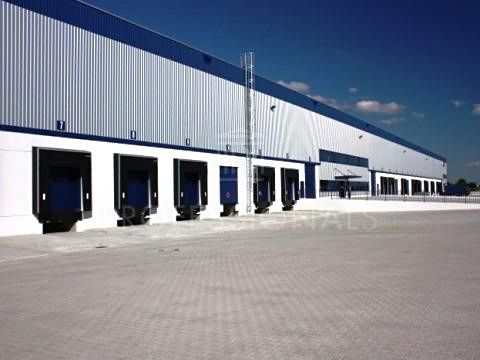 Pronájem skladového prostoru 6000 m² – fotografie 2