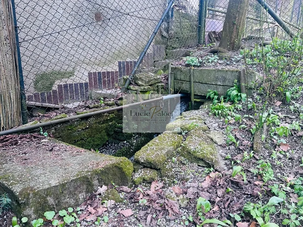 Fotka 16 z 18