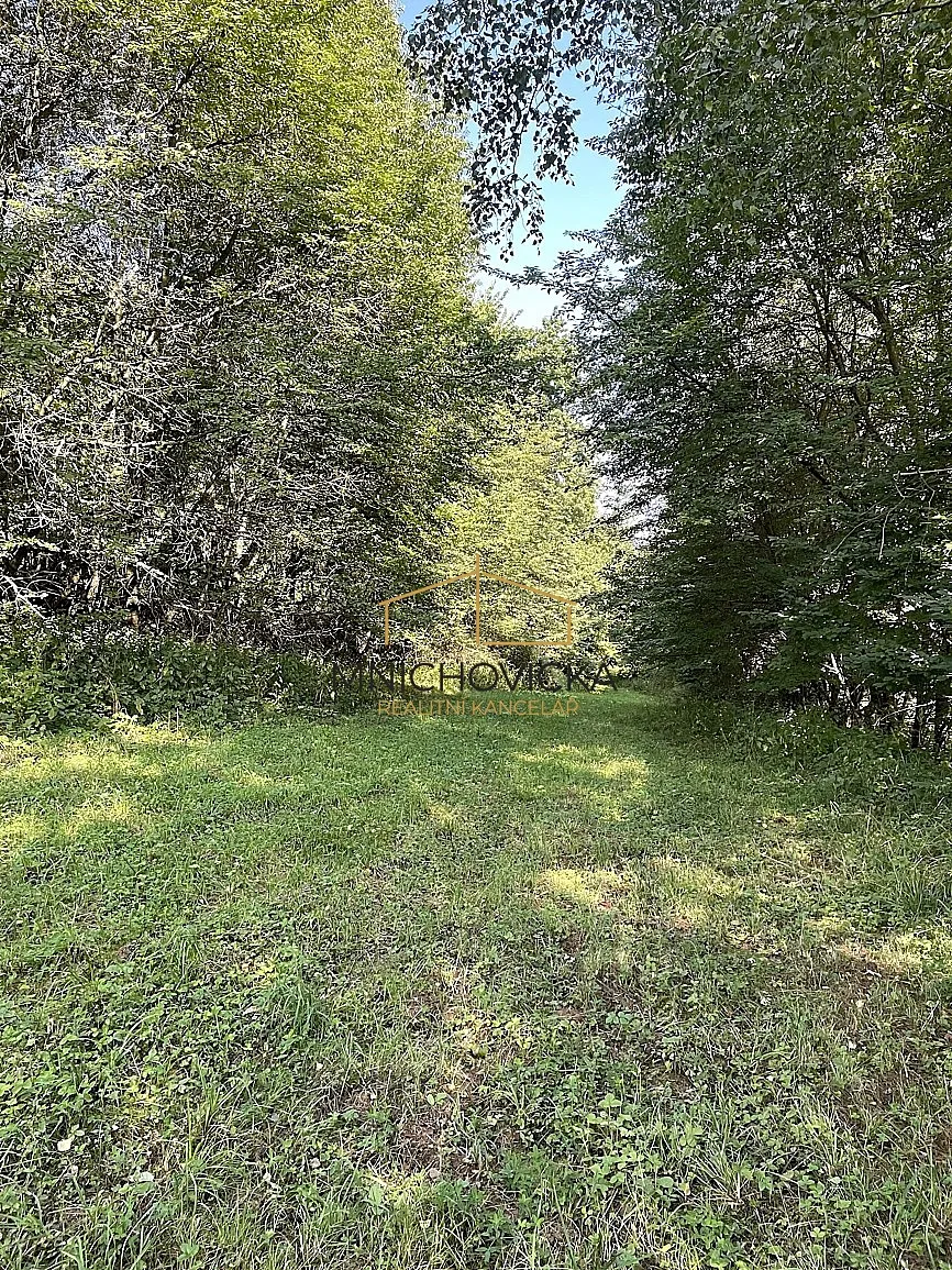 Fotka 1 z 15