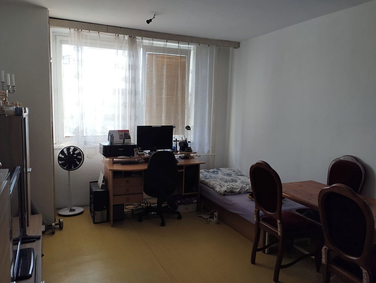 Pronájem bytu 1+kk 24 m² – fotografie 3
