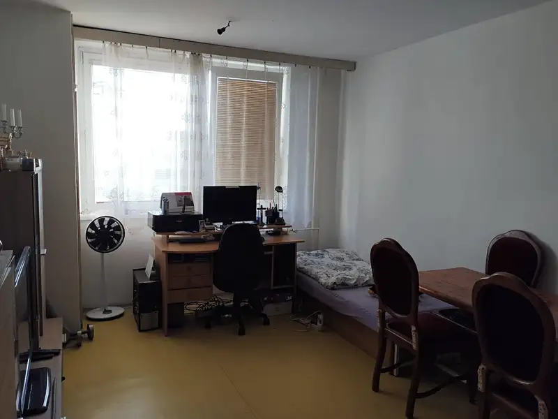 Pronájem bytu 1+kk 24 m², Veselí nad Moravou – náhled fotky 3
