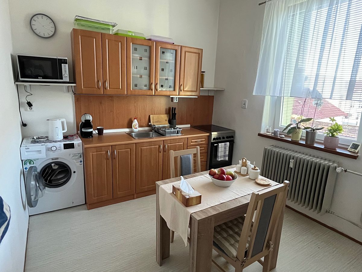 Pronájem bytu 1+1 35 m² – fotografie 3
