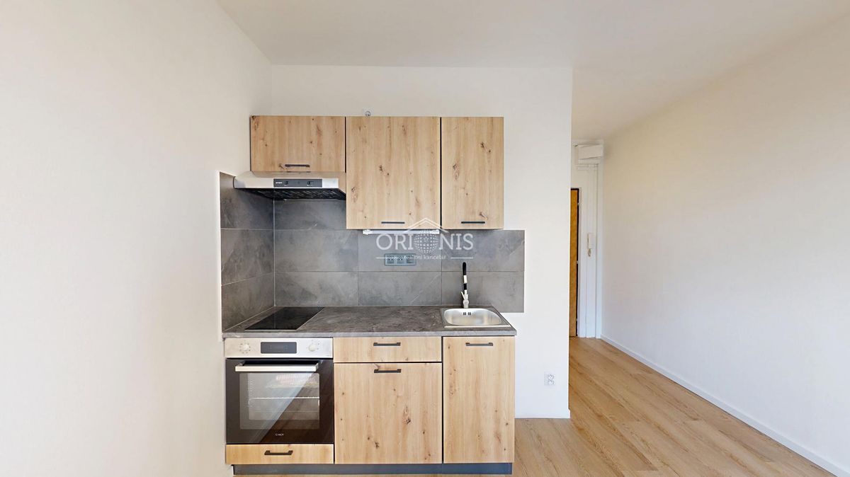 Pronájem bytu 1+1 33 m²