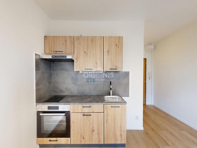 Pronájem bytu 1+1 33 m²