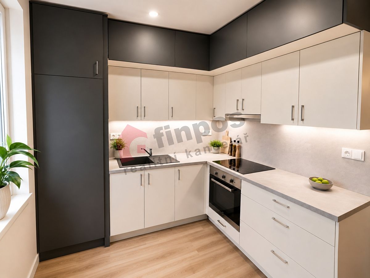 Pronájem bytu 1+1 40 m²
