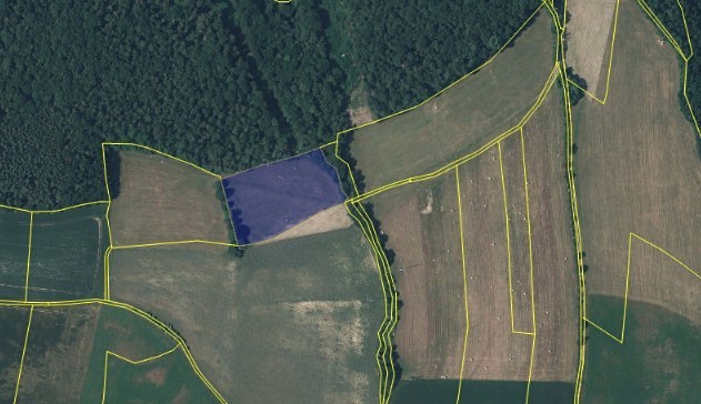 Grundstück zum Kauf, 44.747 m² (4 von 6)